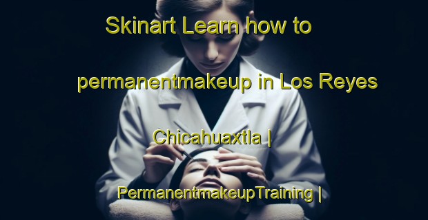 Skinart Learn how to permanentmakeup in Los Reyes Chicahuaxtla | PermanentmakeupTraining | PermanentmakeupClasses | SkinartTraining-Mexico